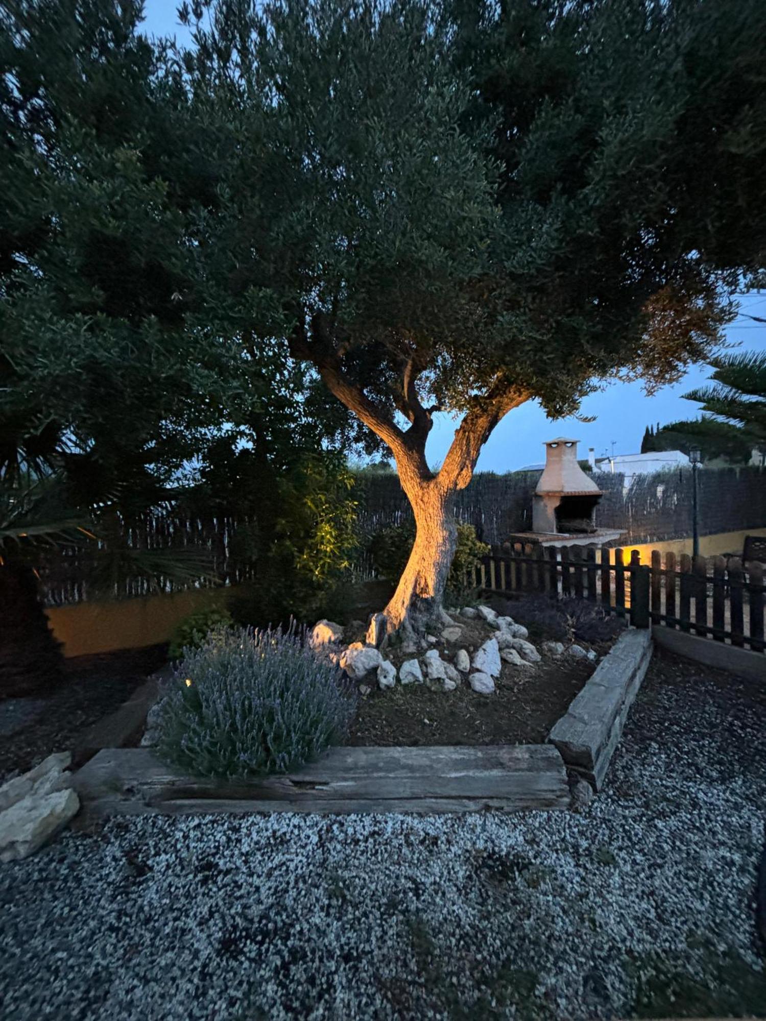 Xalet Piscina Privada Ibiscus L'Ametlla de Mar Exterior foto